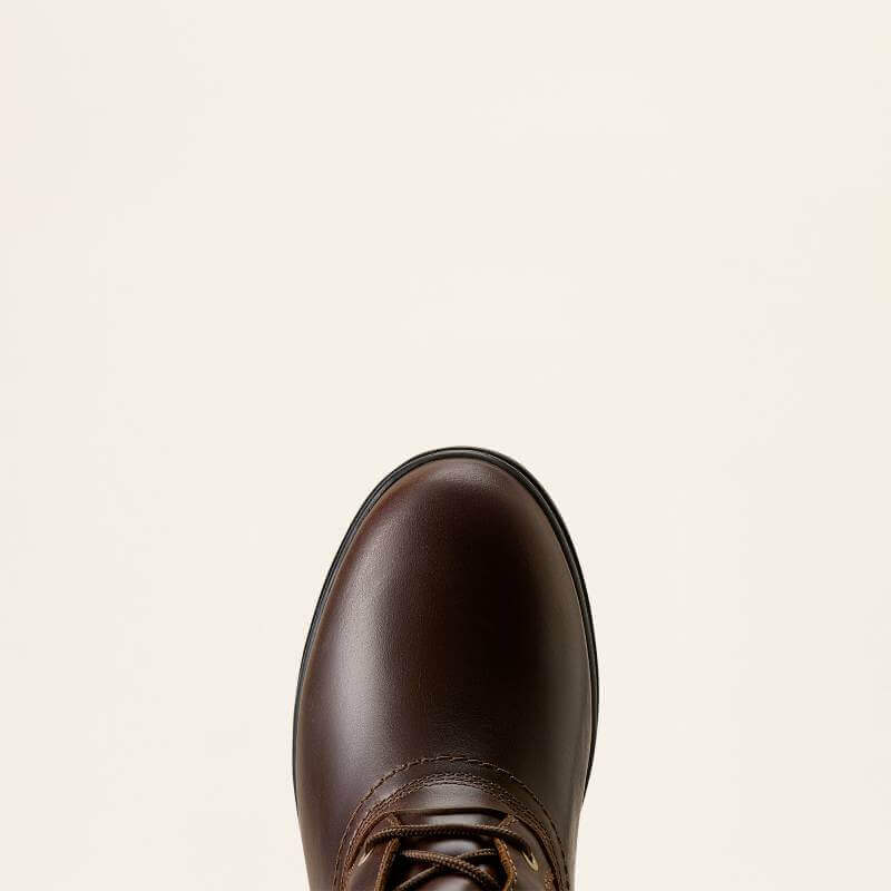 Ariat Womens Wythburn H2O Boots in Tobacco Brown with laces, top view on light background.