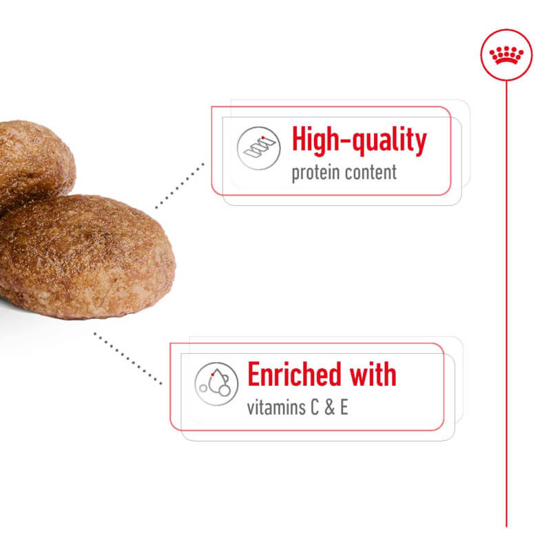 Royal Canin Medium Adult 7+ kibbles, high in protein, with vitamins C & E.