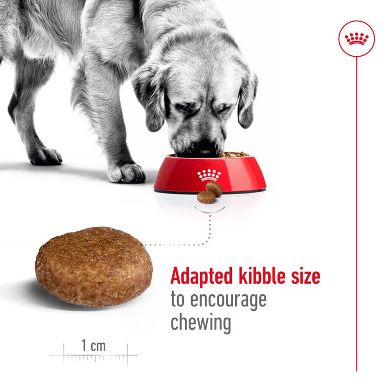 Royal Canin Maxi Adult 5+ offers joint support and adapted kibble size for large breed dogs.