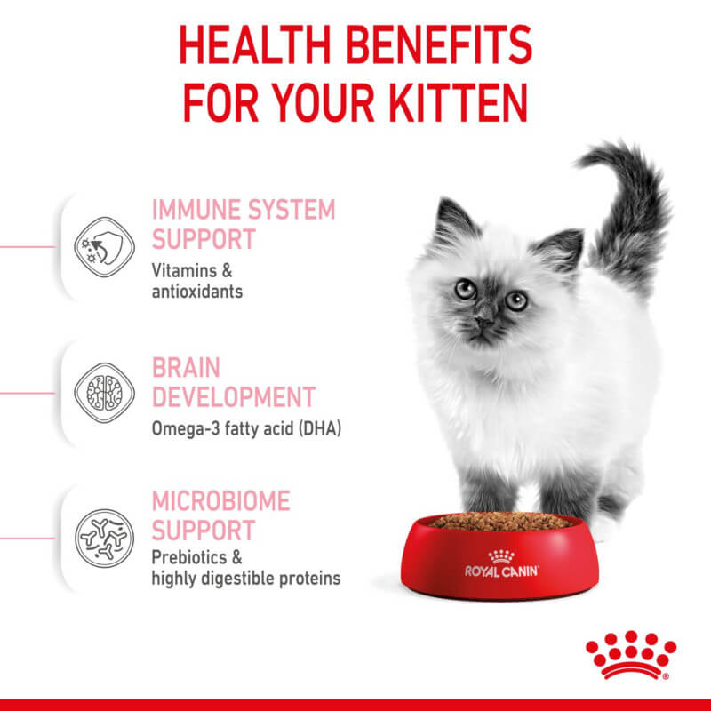 A fluffy kitten by a dish shows Royal Canin Kitten food for great kitten nutrition.
