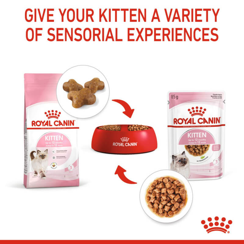 Royal Canin Kitten bowl set offers balanced nutrition and sensorial experiences for young cats.