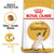 Royal Canin Siamese