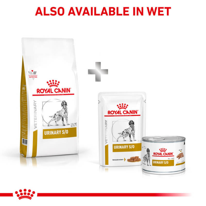 Royal Canin Veterinary Canine Urinary S/O supports urinary health and manages struvite stones.