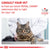 Royal Canin Veterinary Feline Urinary S/O