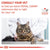 Royal Canin Veterinary Feline Diabetic