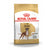 Royal Canin Boxer