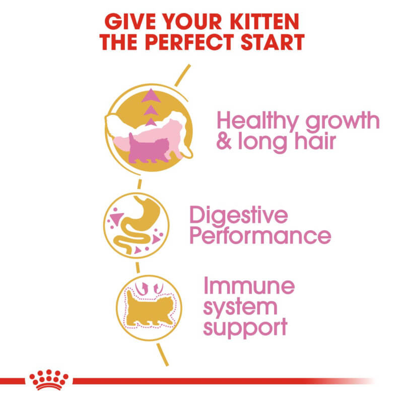Infographic showing Royal Canin Kitten Persian food for digestion and immune system support.