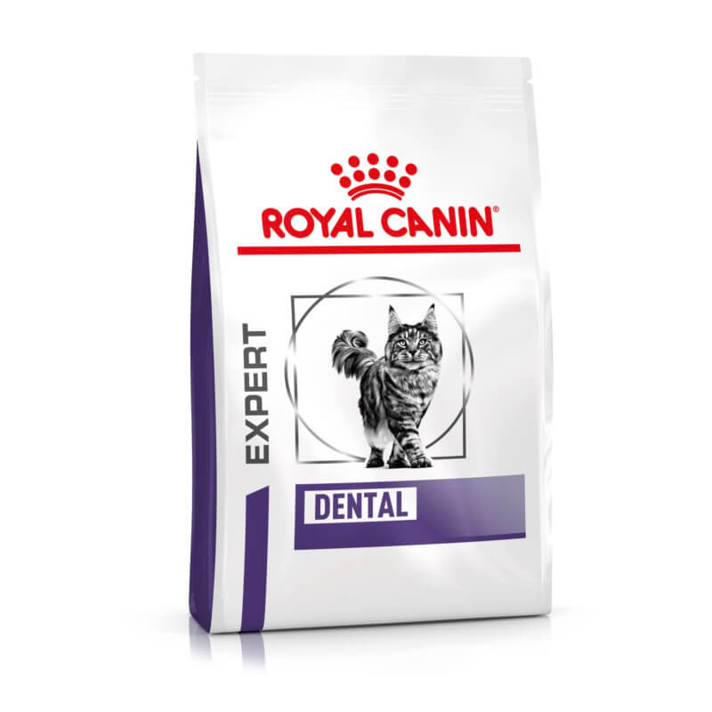 Royal Canin Veterinary Feline Dental Dry Food bag with a cat on the front.