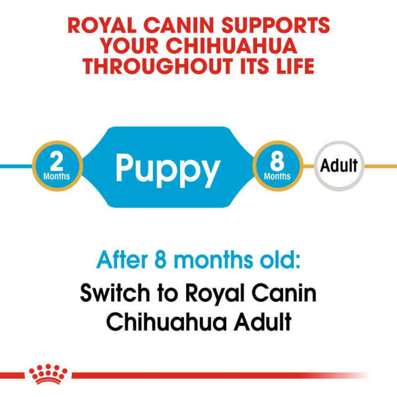 Switch to Royal Canin Chihuahua Puppy 1.5kg at 8 months for immune support.