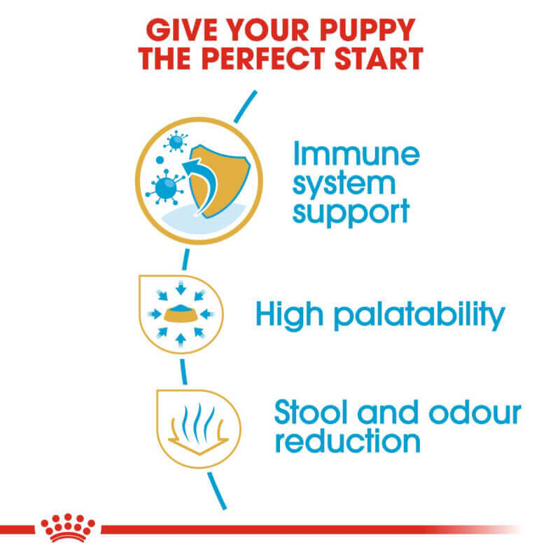 Icons for Royal Canin Chihuahua Puppy 1.5kg: immune health, delicious taste, odor control.