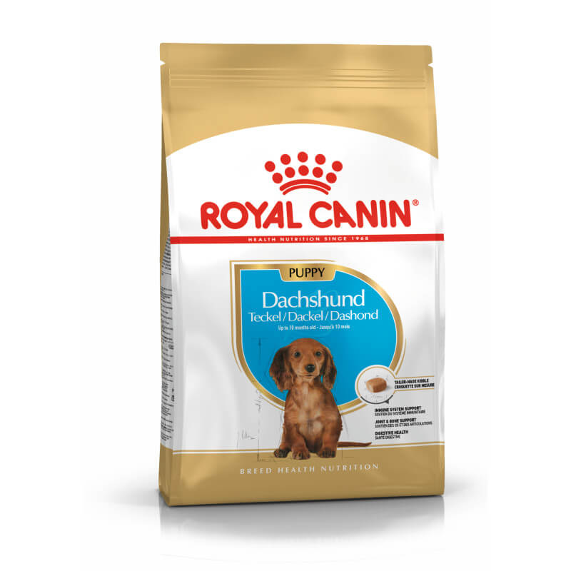 Royal Canin Dachshund Puppy 1.5kg supports immune health for growing dachshund puppies.