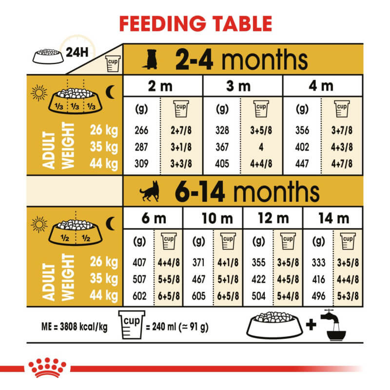 Royal Canin German Shepherd Puppy feeding table by age and adult weight in kilograms.
