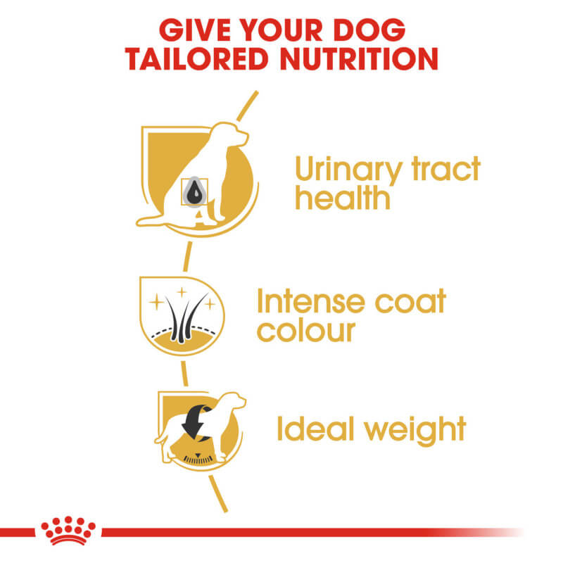 Royal Canin Miniature Schnauzer dog food supports coat, skin, and urinary health.