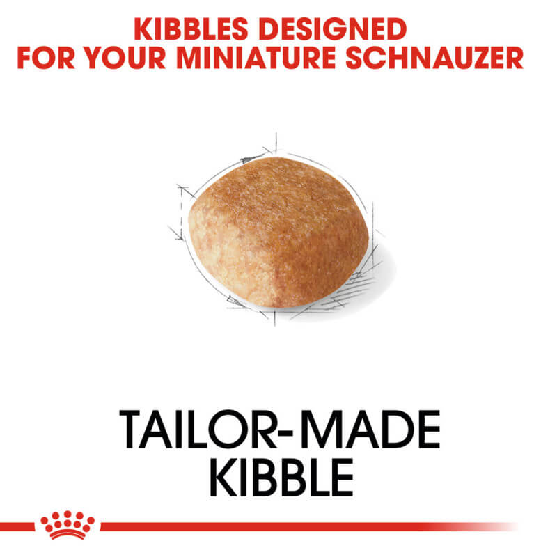 Royal Canin Miniature Schnauzer kibble supports healthy coat and skin.