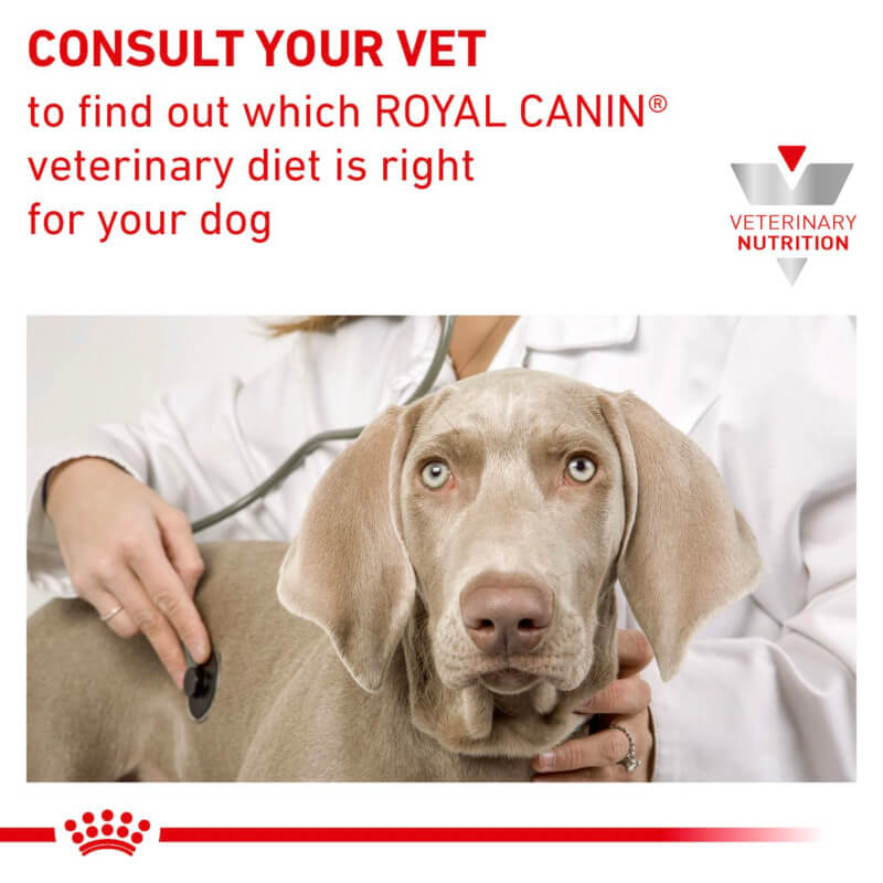 A vet examines a dog; text highlights Royal Canin Veterinary Canine Satiety Dry Dog Food.