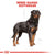 Royal Canin Rottweiler