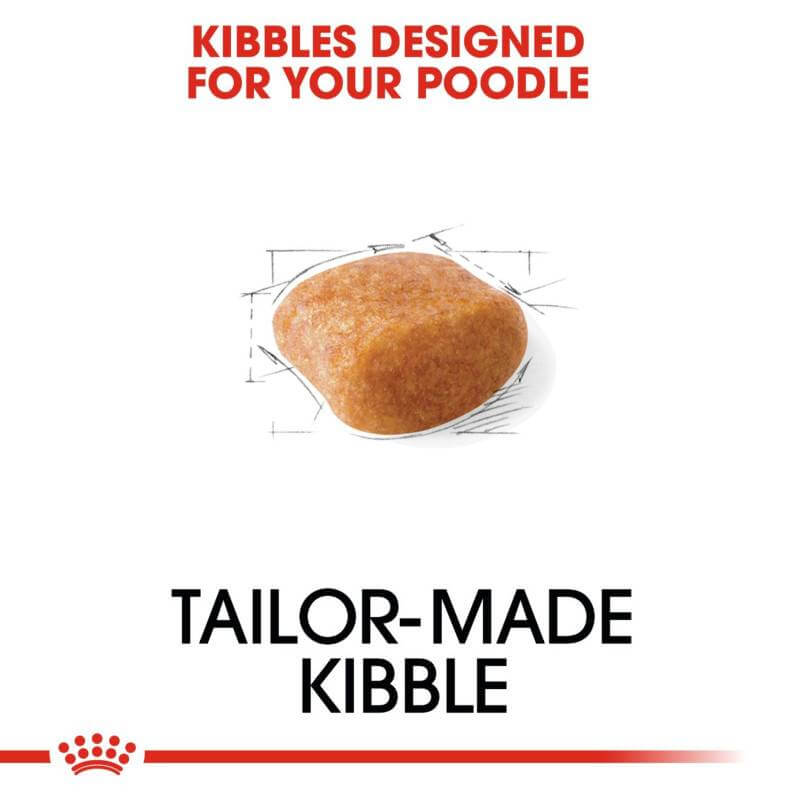 Royal Canin Poodle: nutrition designed for your adult poodle.