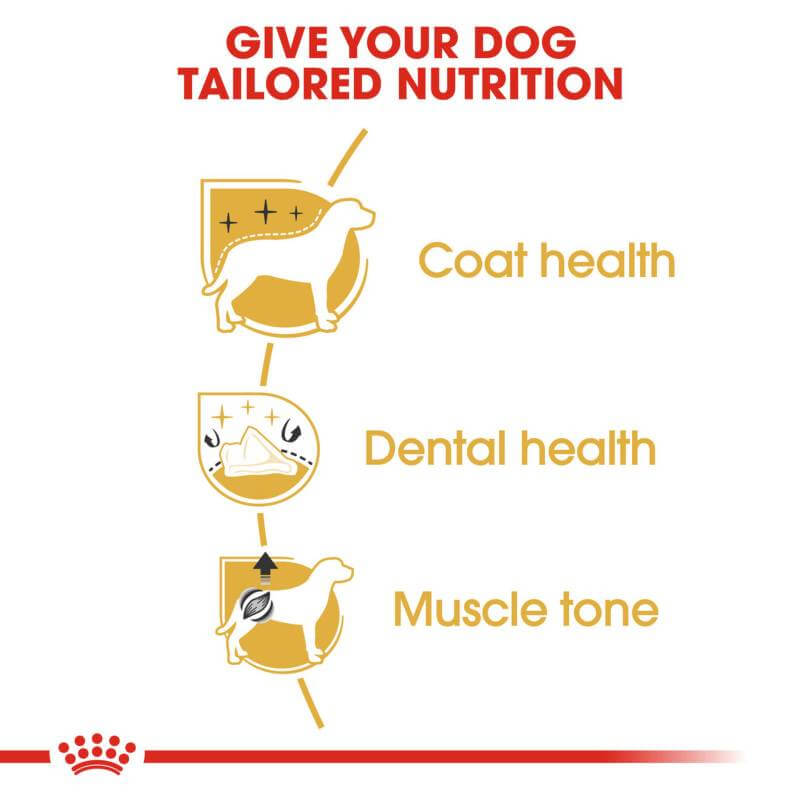 Royal Canin Poodle supports coat, dental health, and muscle tone for your poodle.