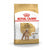 Royal Canin Poodle-Pet n Pony-Royal Canin