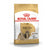 Royal Canin Shih Tzu-Pet n Pony-Royal Canin