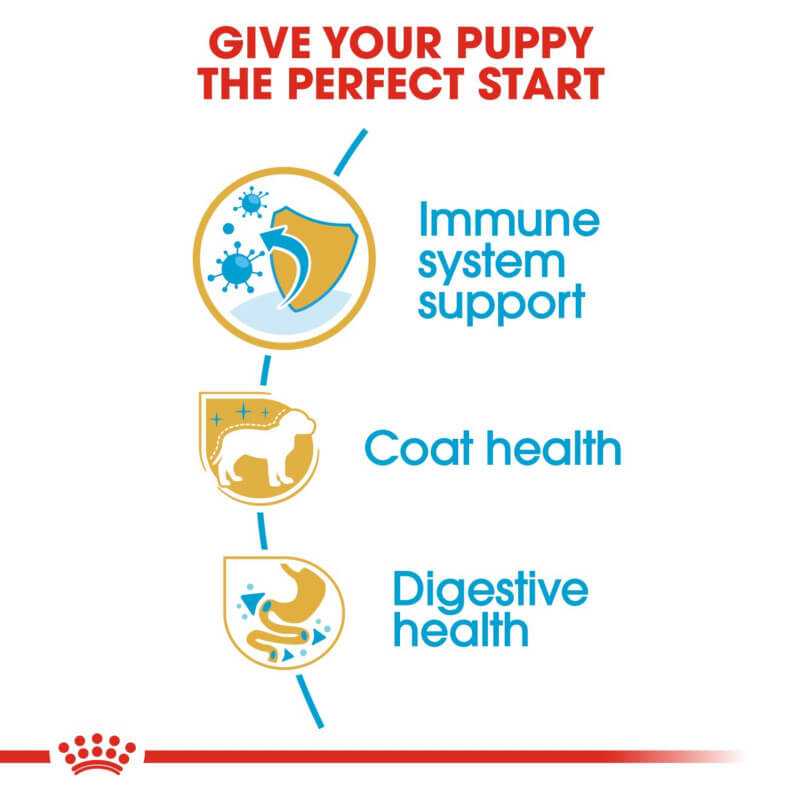 Royal Canin Yorkshire Terrier Puppy 1.5kg food for Yorkshire Terrier puppies.