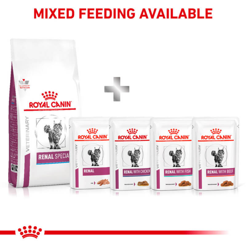 Royal Canin Veterinary Renal Special Adult Dry Cat Food bag plus four renal pouches above.