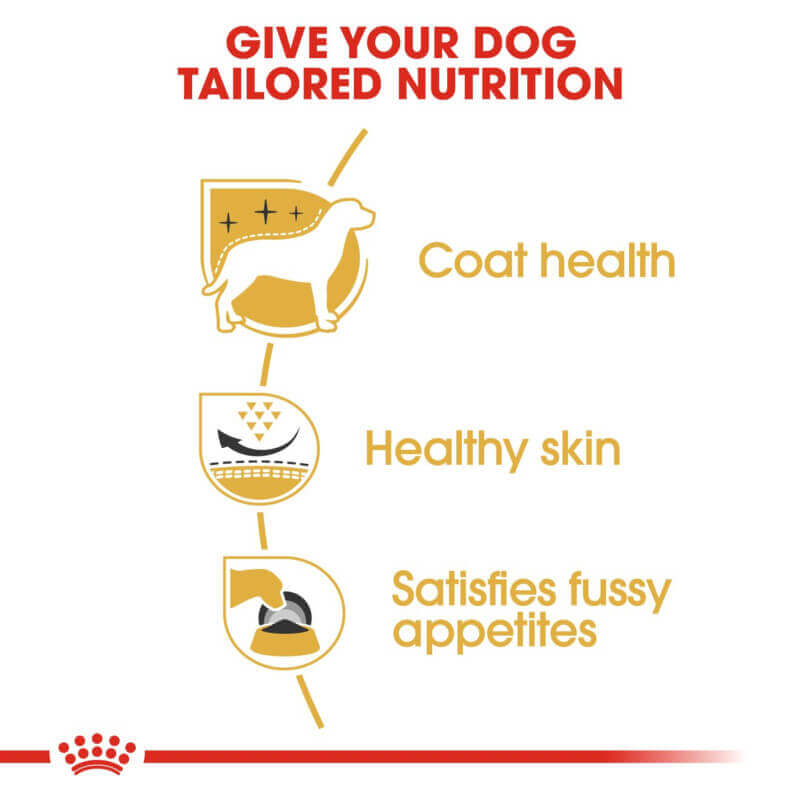 Royal Canin West Highland White Terrier supports dental hygiene, skin, and coat health.