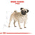 Royal Canin Pug