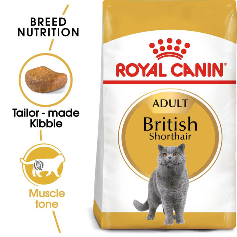 Royal Canin British Shorthair-Pet n Pony-Royal Canin