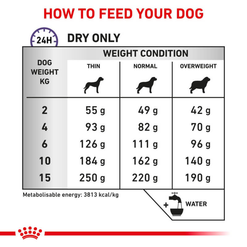 Royal Canin Calm Small Dog Food feeding chart: dry food amounts, calming support, water tips.