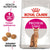 Royal Canin Protein Exigent