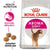 Royal Canin Aroma Exigent