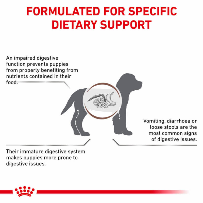Silhouette of puppy with organs highlighted and text about Royal Canin Gastro Intestinal Puppy Food.