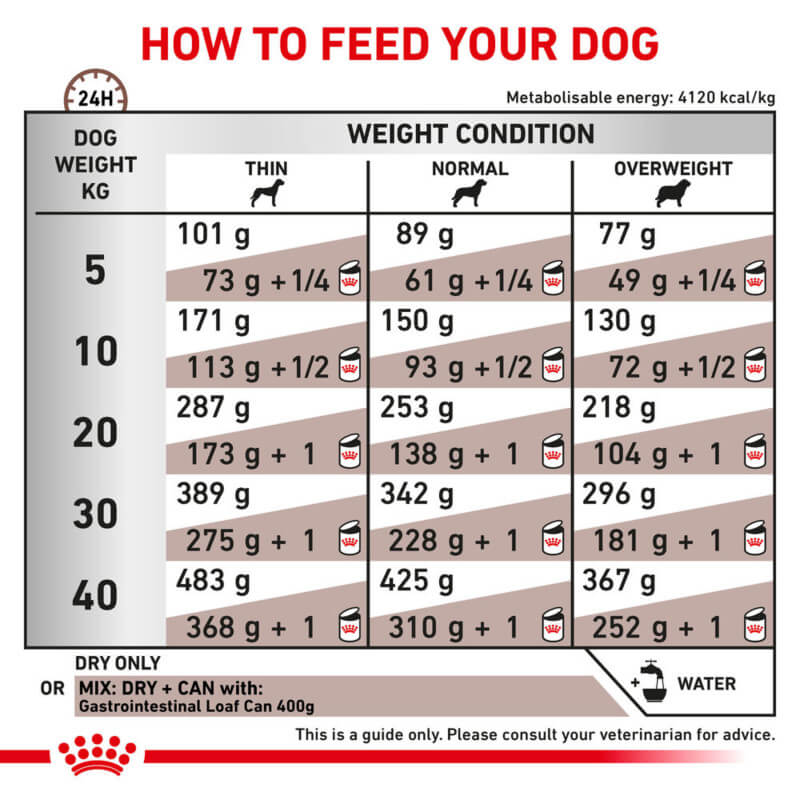 Royal Canin Veterinary dog feeding guide by weight with daily Gastro Intestinal Dry Food amounts.