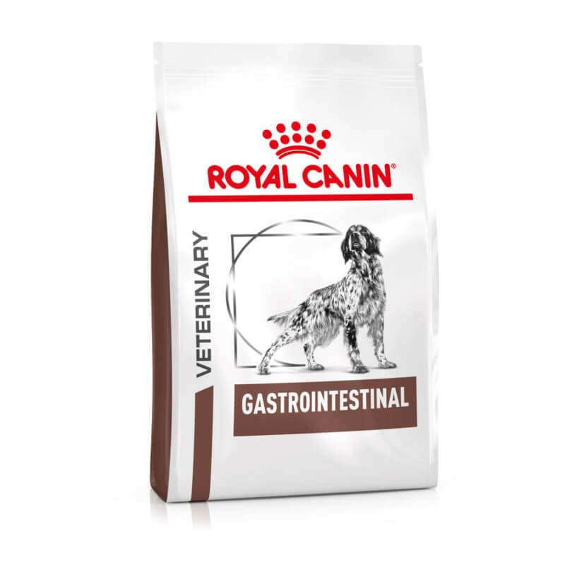 Royal Canin Veterinary Gastro Intestinal dog food bag with a dog illustration on front.