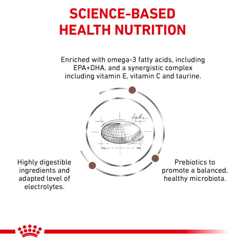 Diagram shows Royal Canin Veterinary Gastro Intestinal High Fibre for digestive health in dogs.