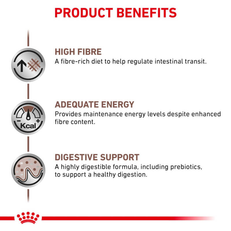 Infographic: Royal Canin Veterinary Gastro Intestinal High Fibre for digestive support in dogs.