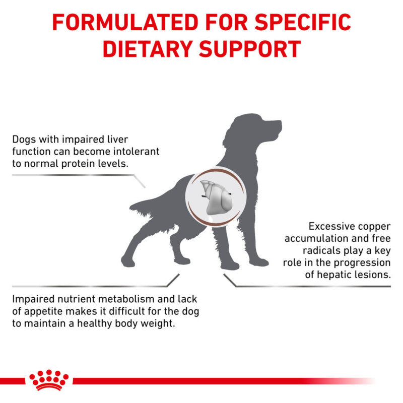 Dog silhouette with text about Royal Canin Veterinary Hepatic Dry Dog Food for liver support.