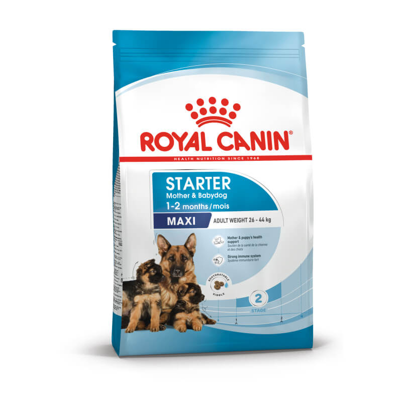 Royal Canin Maxi Starter puppy food for large breeds, ideal for mother and babydog.