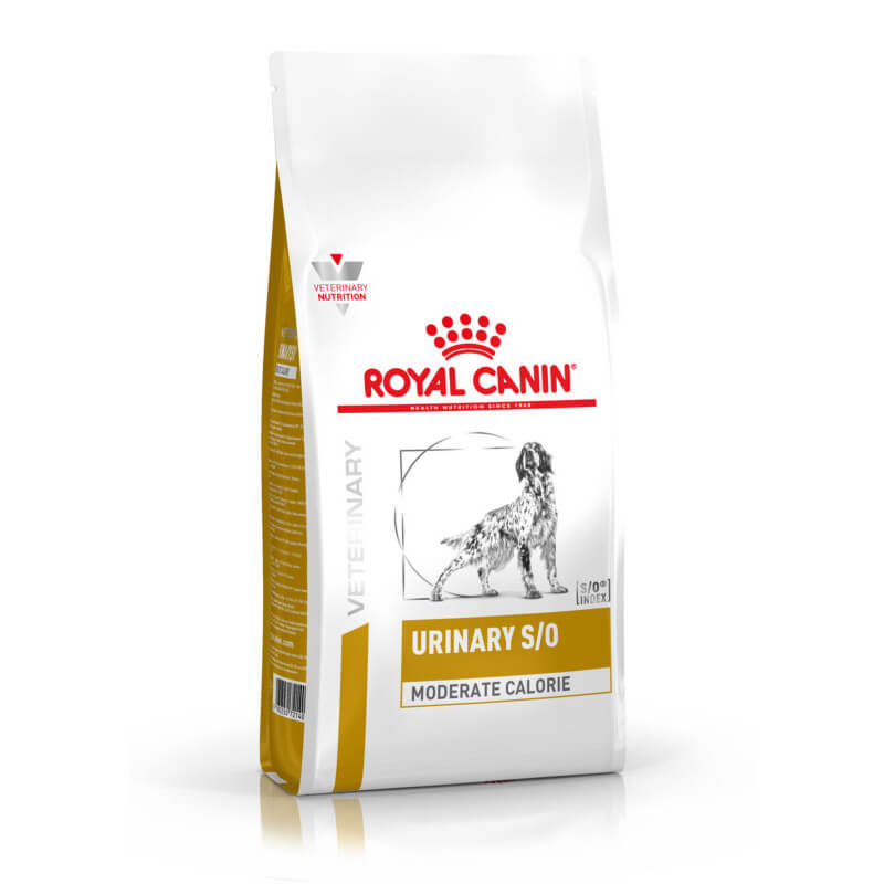 White bag of Royal Canin Veterinary Canine Urinary S/O Moderate Calorie dog food with a dog image.