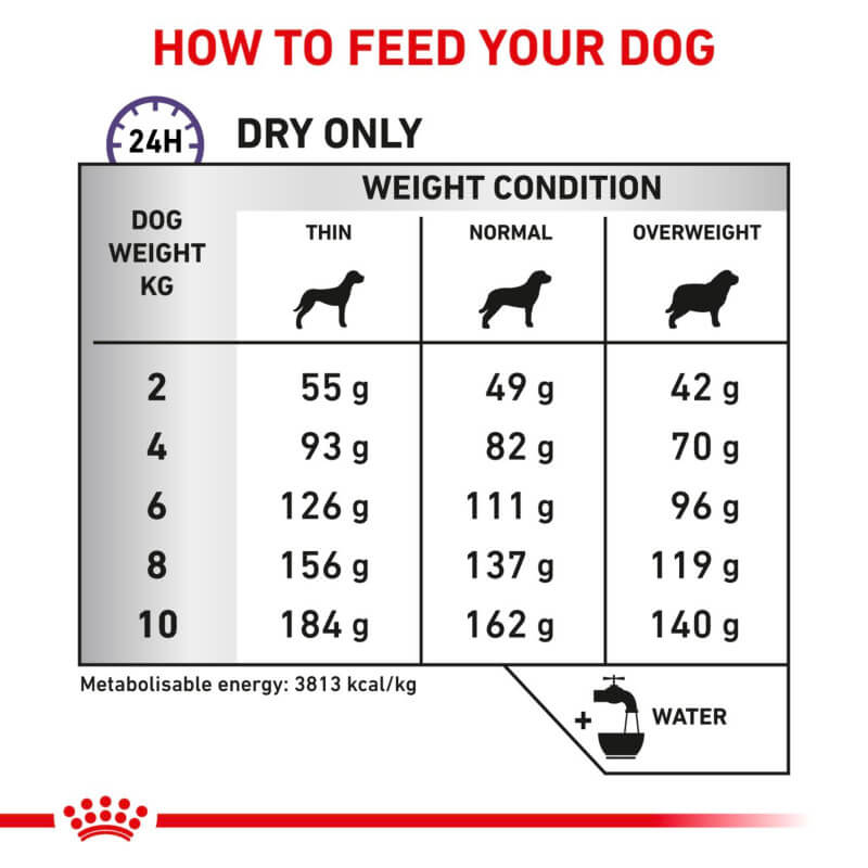 Royal Canin Dental Adult Dry Small Dog Food