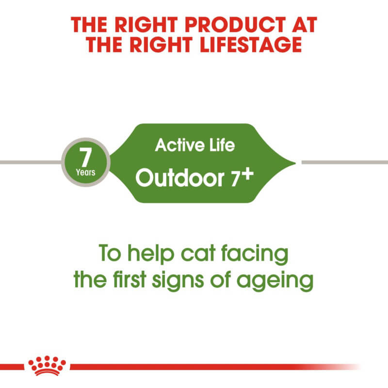 Royal Canin Outdoor 7+ supports vitality and joints for senior outdoor cats.