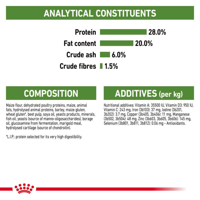 Royal Canin Outdoor 7+ supports senior cats’ vitality and joint health with balanced nutrition.