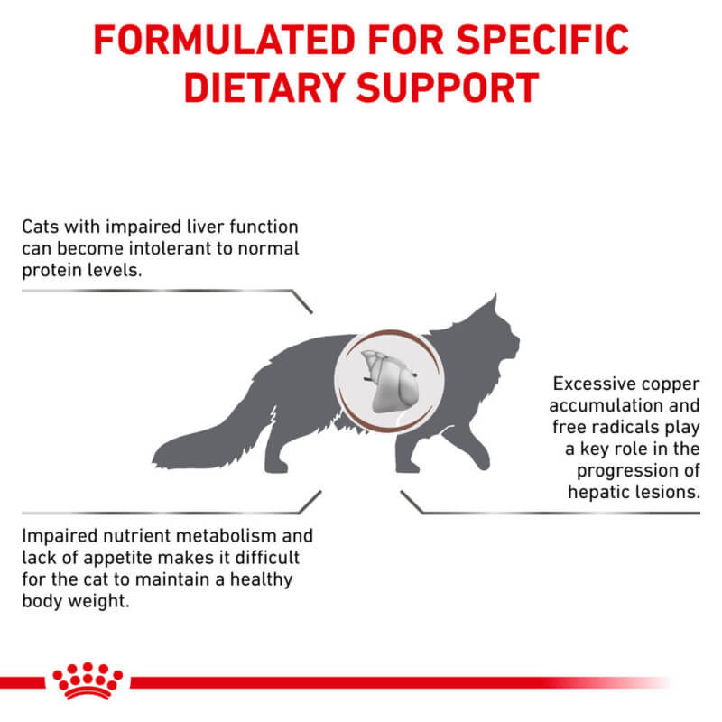 Silhouette of a cat with text: Royal Canin Veterinary Feline Hepatic for liver health in cats.