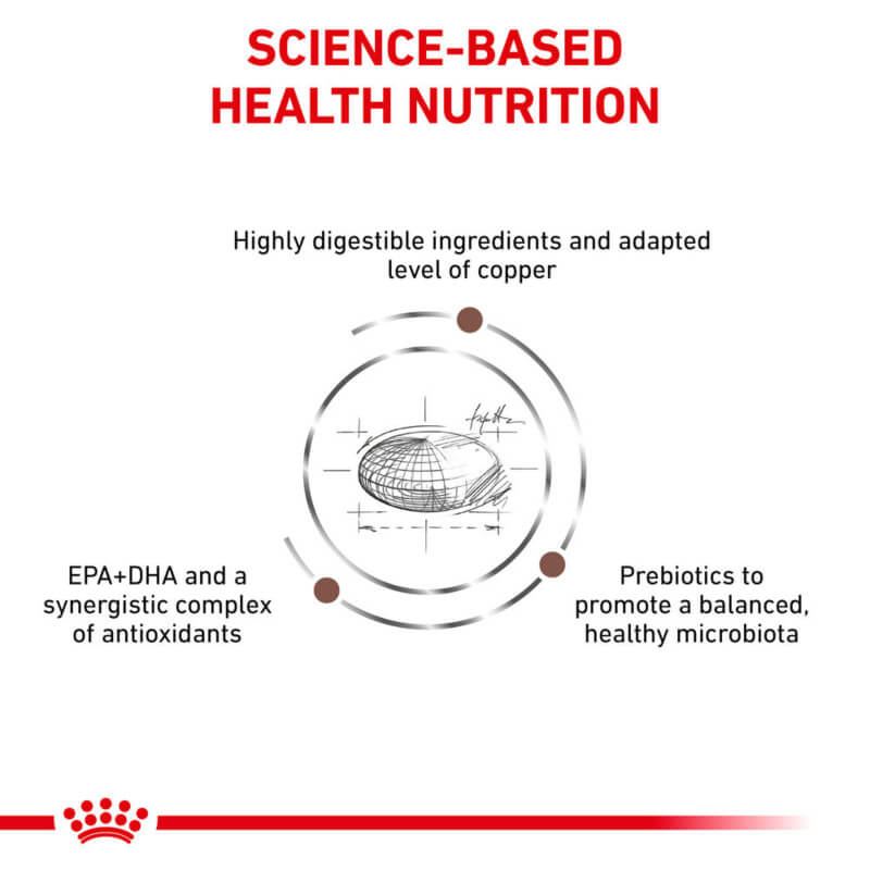 Diagram showing key ingredients of Royal Canin Veterinary Feline Hepatic for pet nutrition.