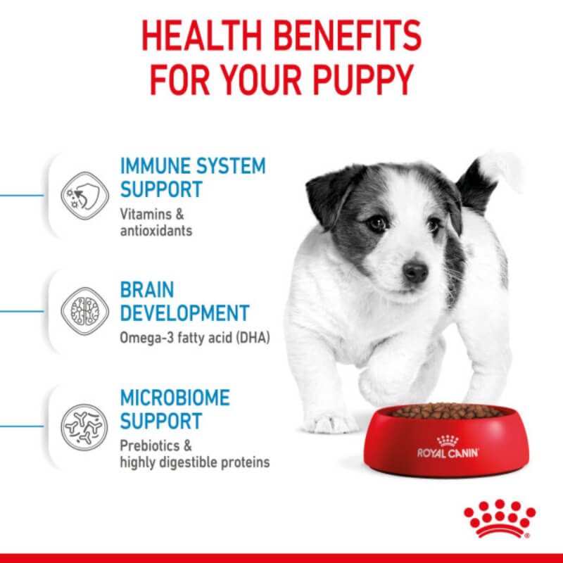 Royal Canin Mini Puppy dog food for small breeds promotes healthy puppy growth.