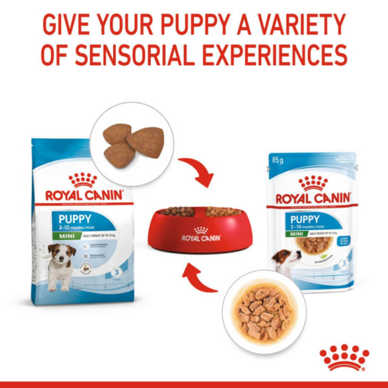 Royal Canin Mini Puppy food supports small breed puppy growth with tailored textures.