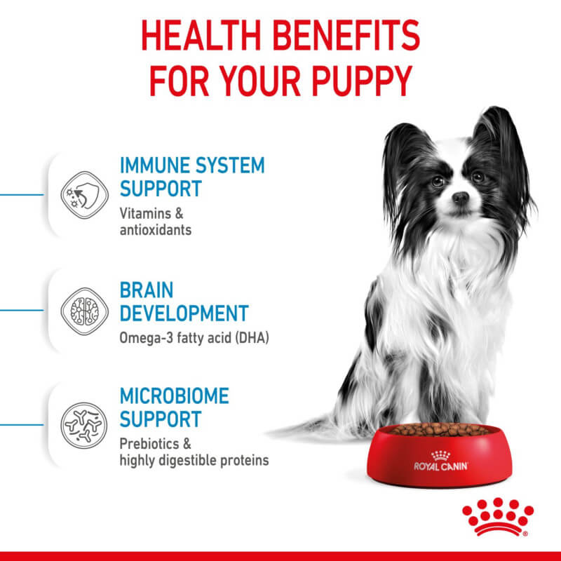 A small dog sits by a bowl of Royal Canin X-Small Puppy 1.5kg, ideal for puppy growth needs.