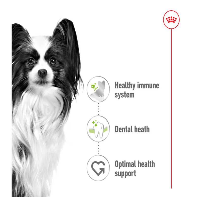 Black and white dog with text: Royal Canin X-Small Adult 1.5kg for health and dental care.