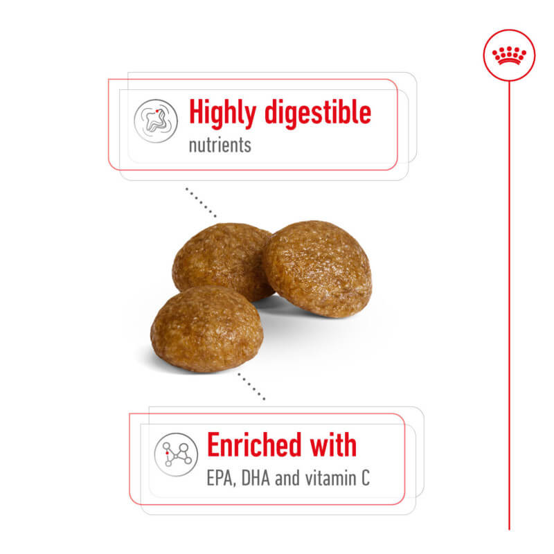 Three round brown kibbles showcase nutrients in Royal Canin X-Small Adult 1.5kg dog food.